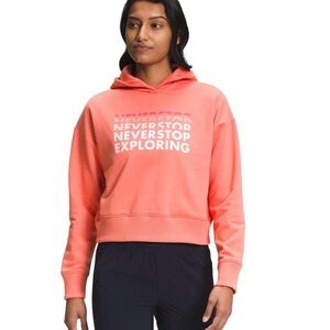 The North Face Logo Play Hoodie Size L